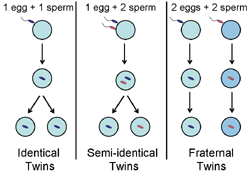 SemiIdenticalTwins